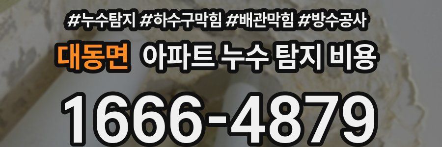 대동면 아파트 누수 탐지 비용