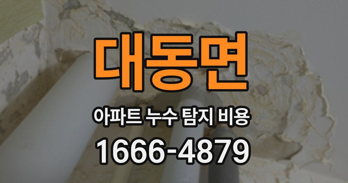 대동면 아파트 누수 탐지 비용