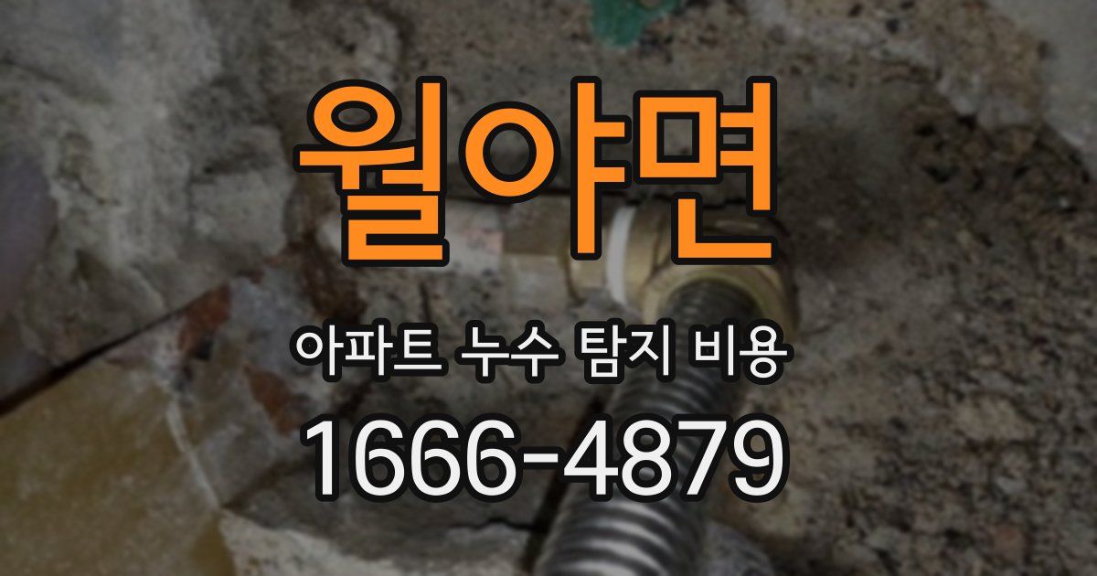월야면 아파트 누수 탐지 비용