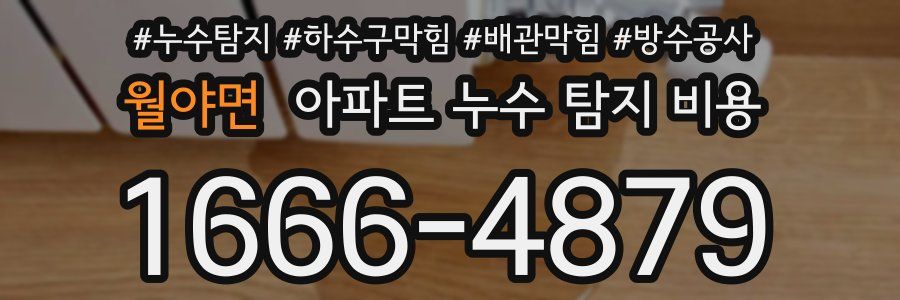 월야면 아파트 누수 탐지 비용