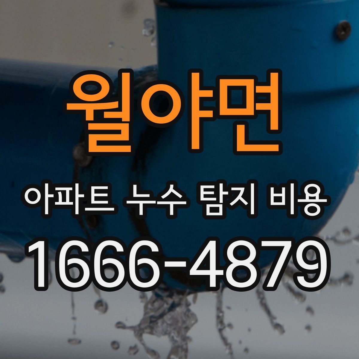 월야면 아파트 누수 탐지 비용