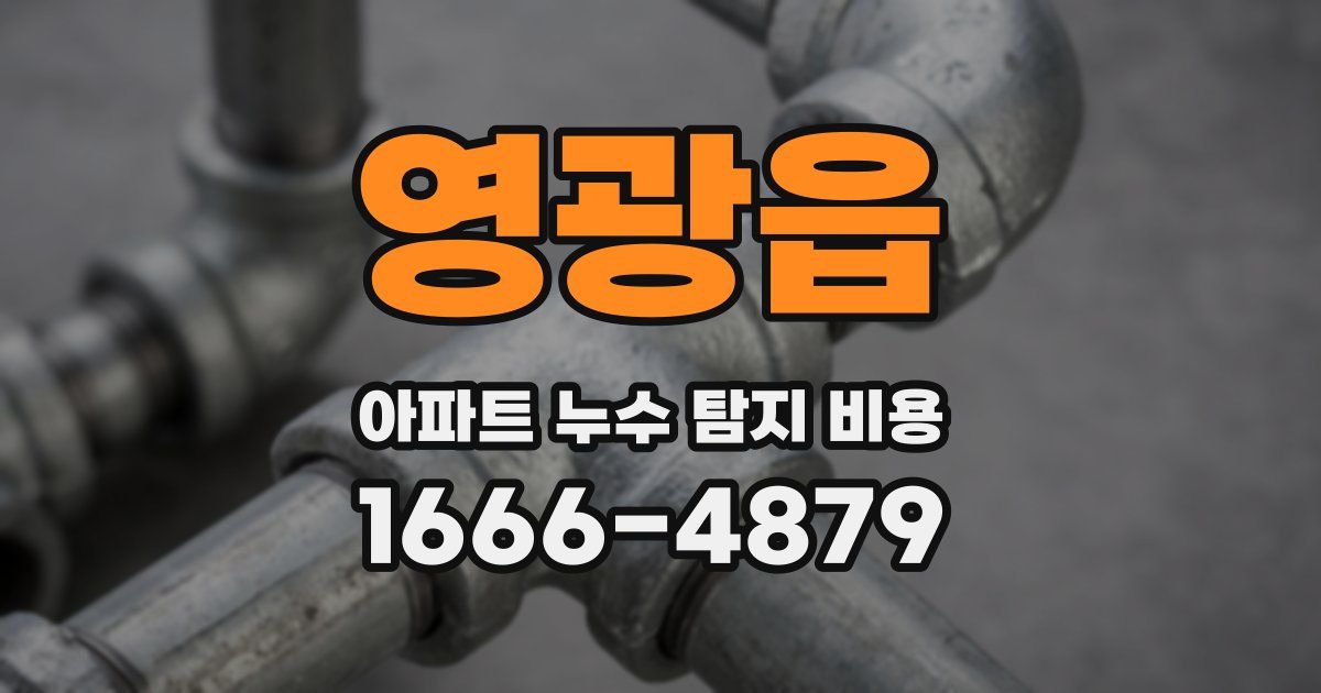영광읍 아파트 누수 탐지 비용