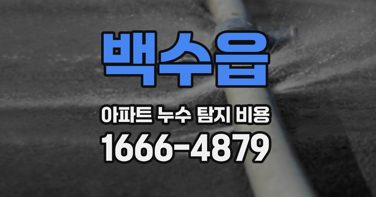 백수읍 아파트 누수 탐지 비용