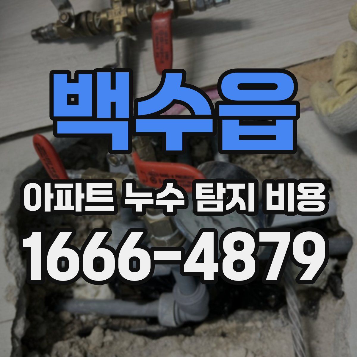 백수읍 아파트 누수 탐지 비용