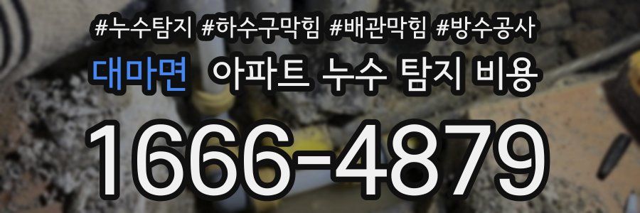 대마면 아파트 누수 탐지 비용