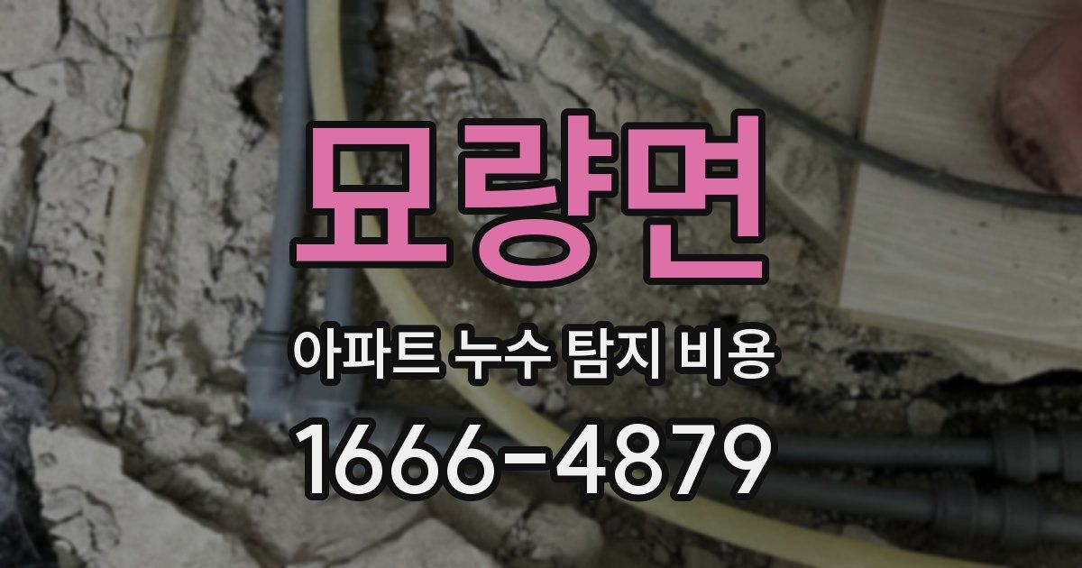 묘량면 아파트 누수 탐지 비용