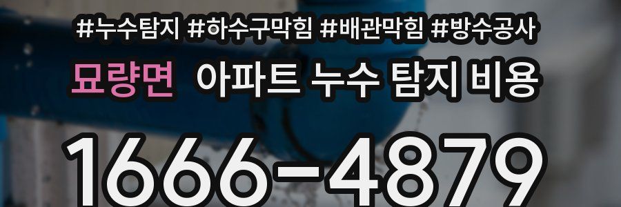 묘량면 아파트 누수 탐지 비용