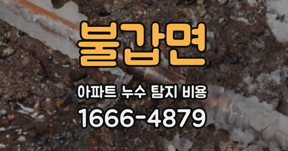 불갑면 아파트 누수 탐지 비용