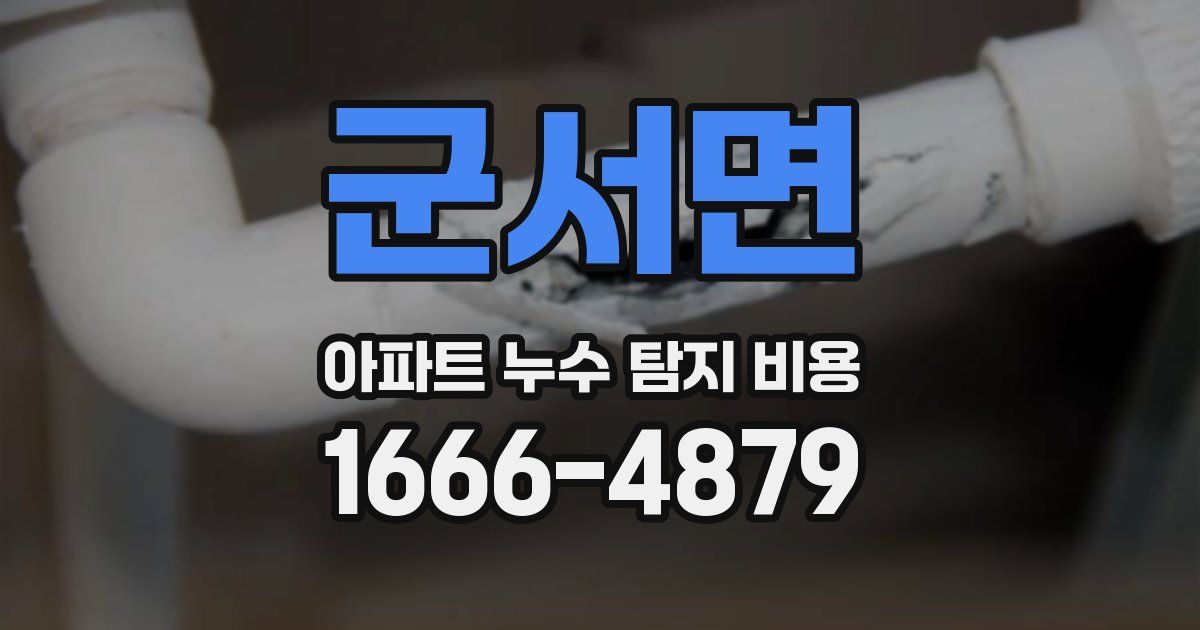 군서면 아파트 누수 탐지 비용