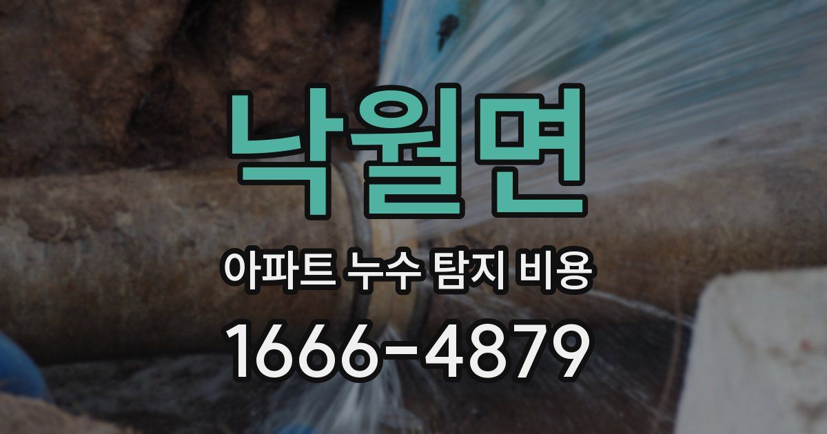 낙월면 아파트 누수 탐지 비용