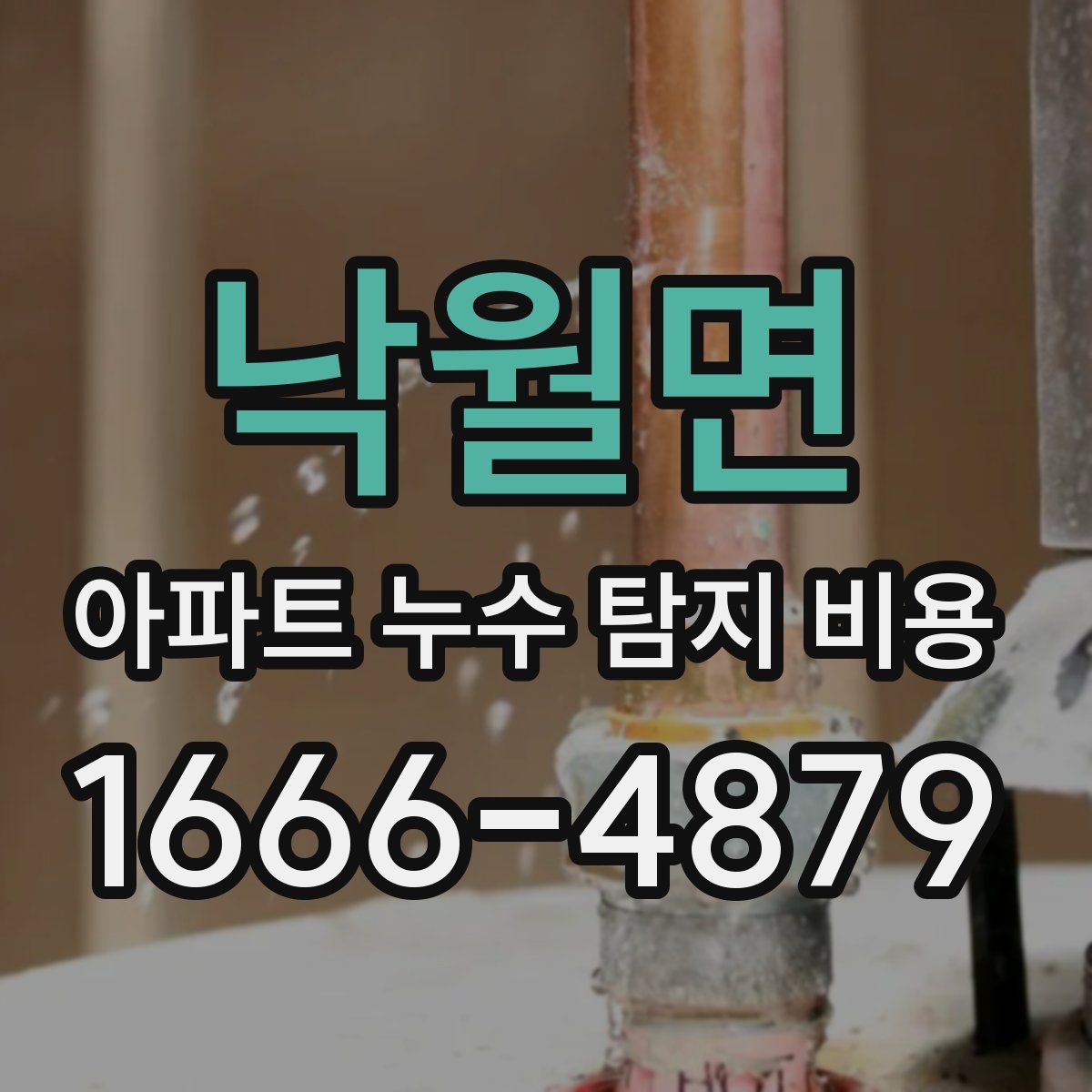 낙월면 아파트 누수 탐지 비용