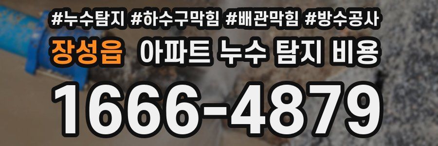 장성읍 아파트 누수 탐지 비용