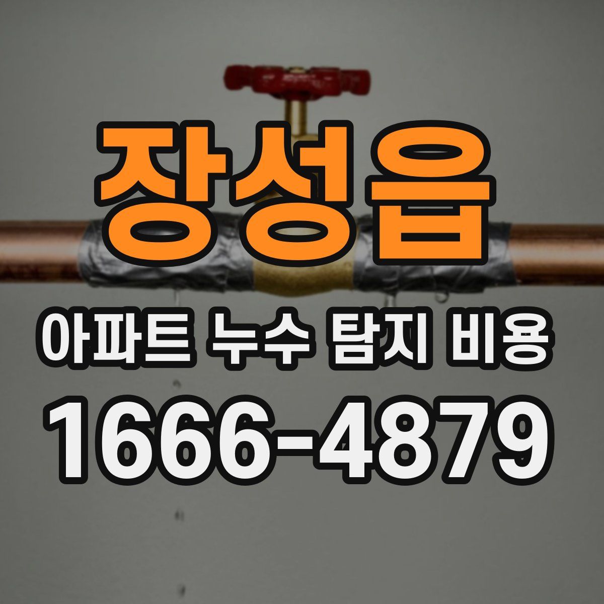 장성읍 아파트 누수 탐지 비용