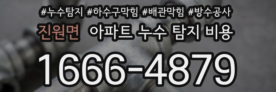 진원면 아파트 누수 탐지 비용