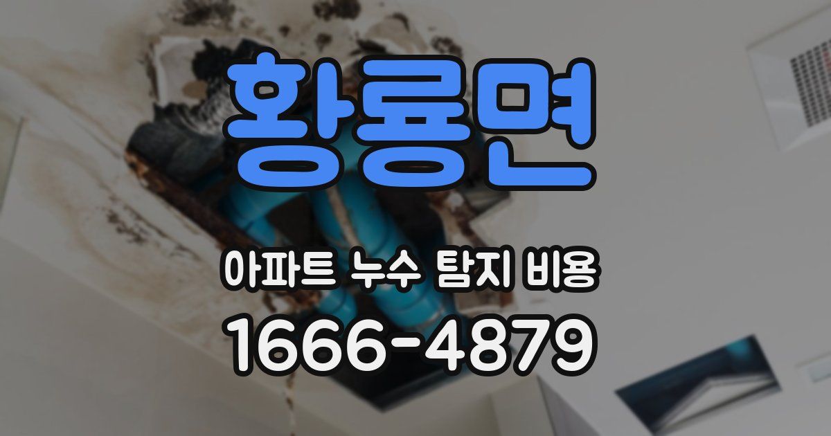 황룡면 아파트 누수 탐지 비용