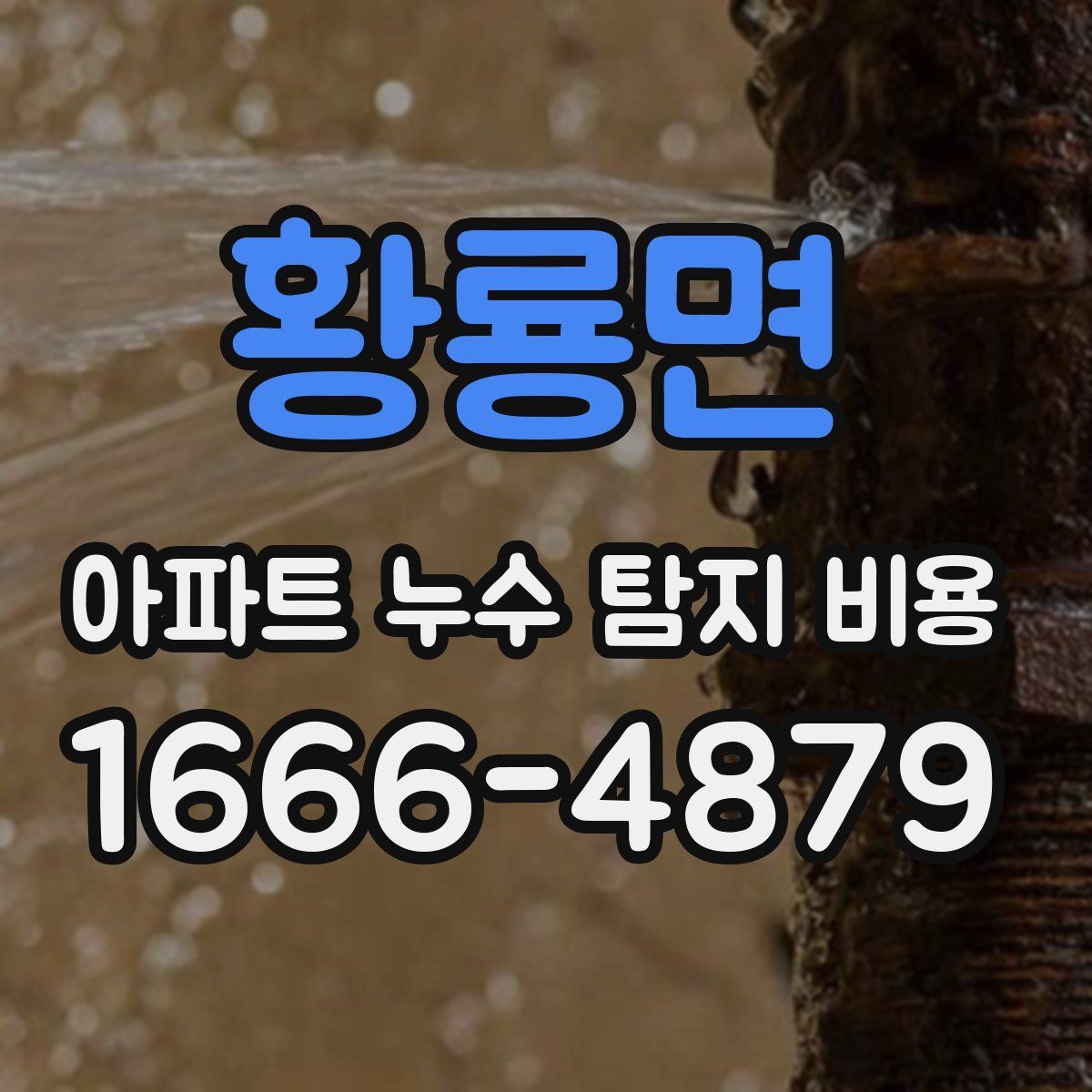 황룡면 아파트 누수 탐지 비용