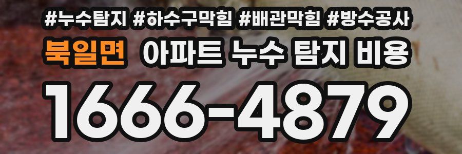 북일면 아파트 누수 탐지 비용