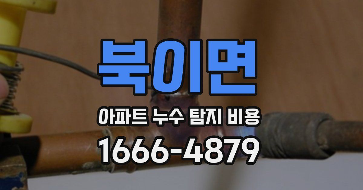 북이면 아파트 누수 탐지 비용