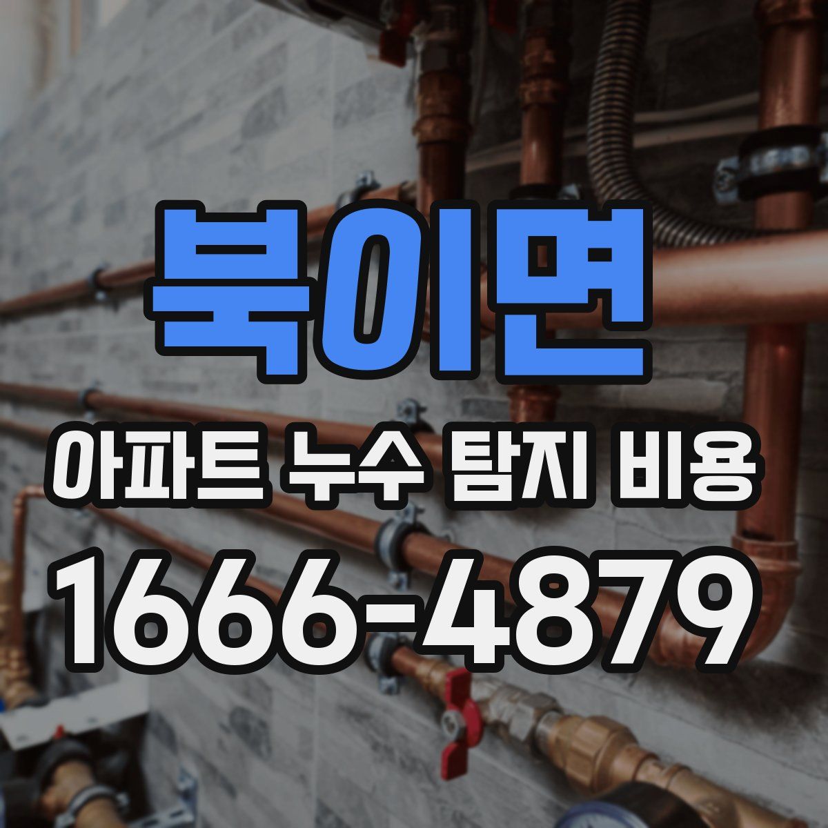 북이면 아파트 누수 탐지 비용