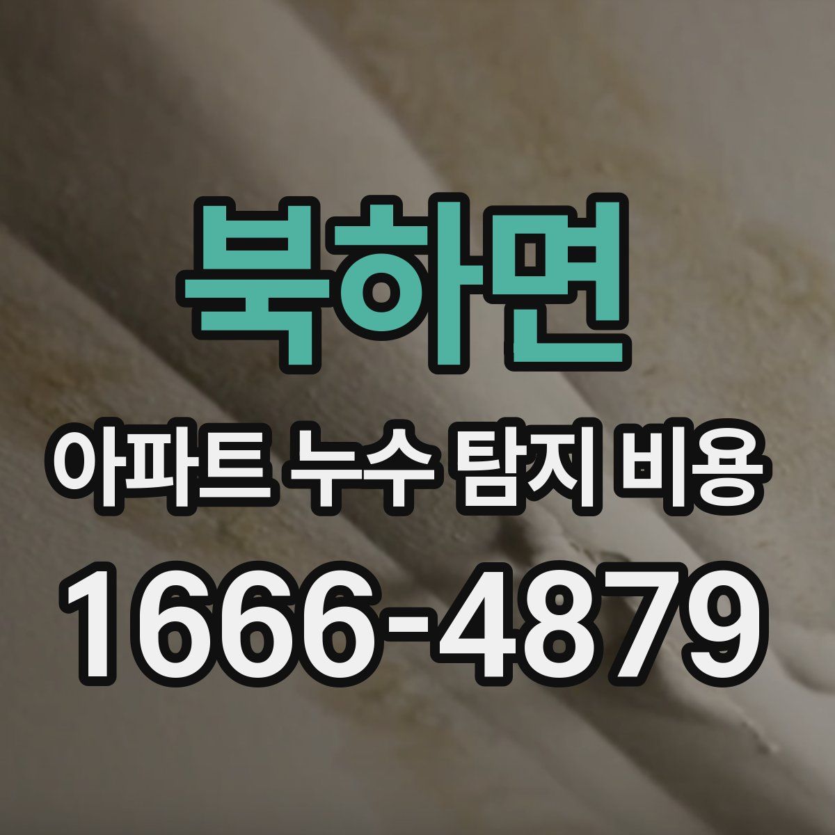 북하면 아파트 누수 탐지 비용