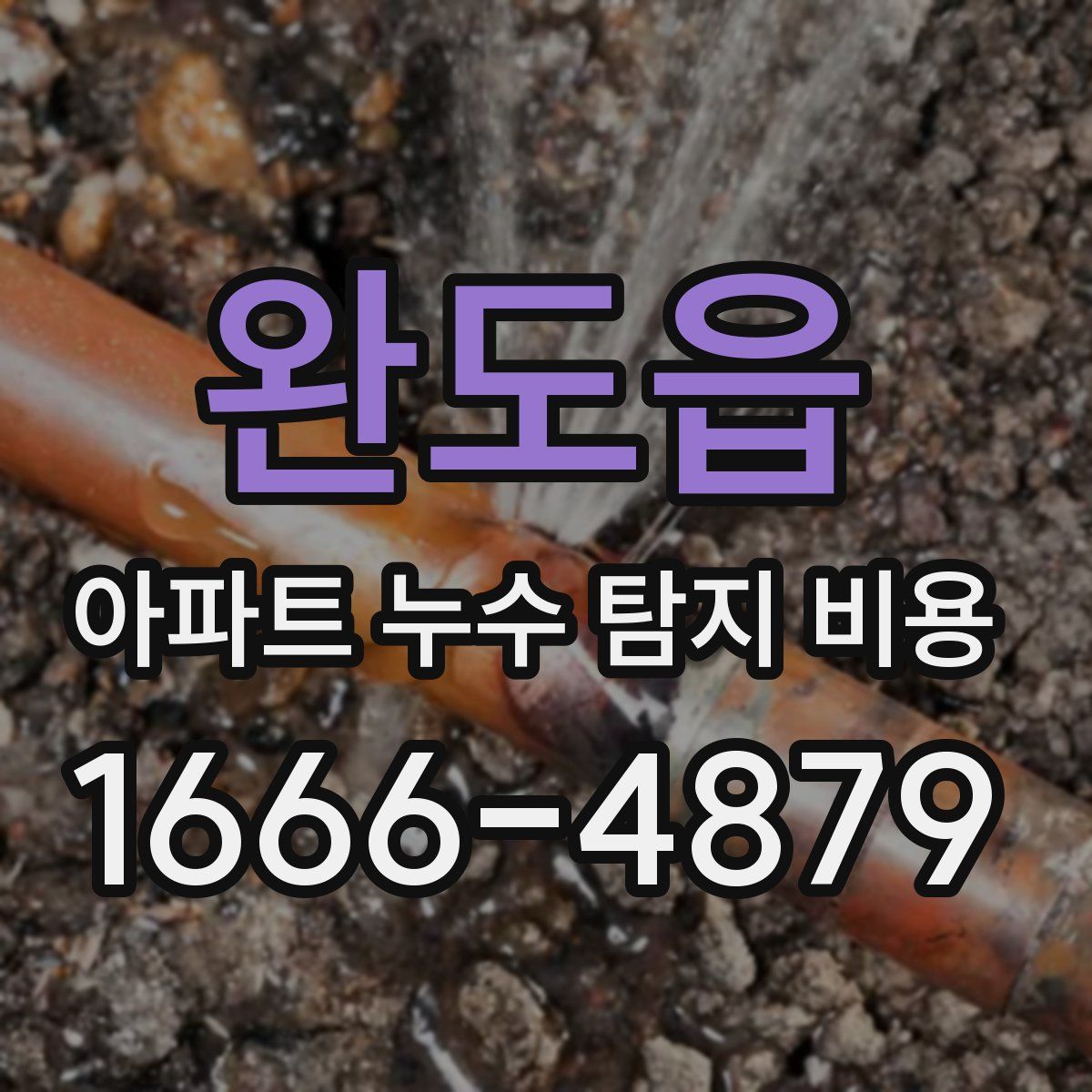 완도읍 아파트 누수 탐지 비용
