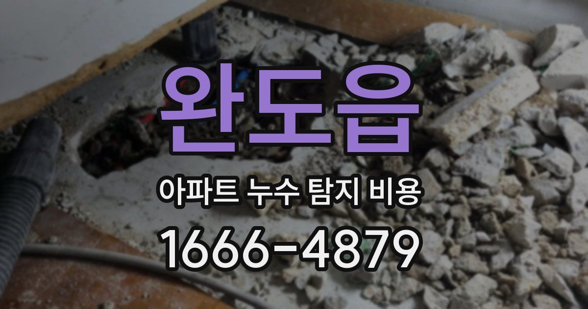 완도읍 아파트 누수 탐지 비용