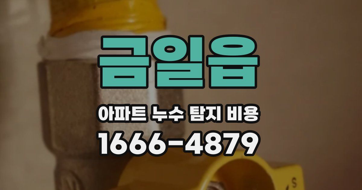 금일읍 아파트 누수 탐지 비용