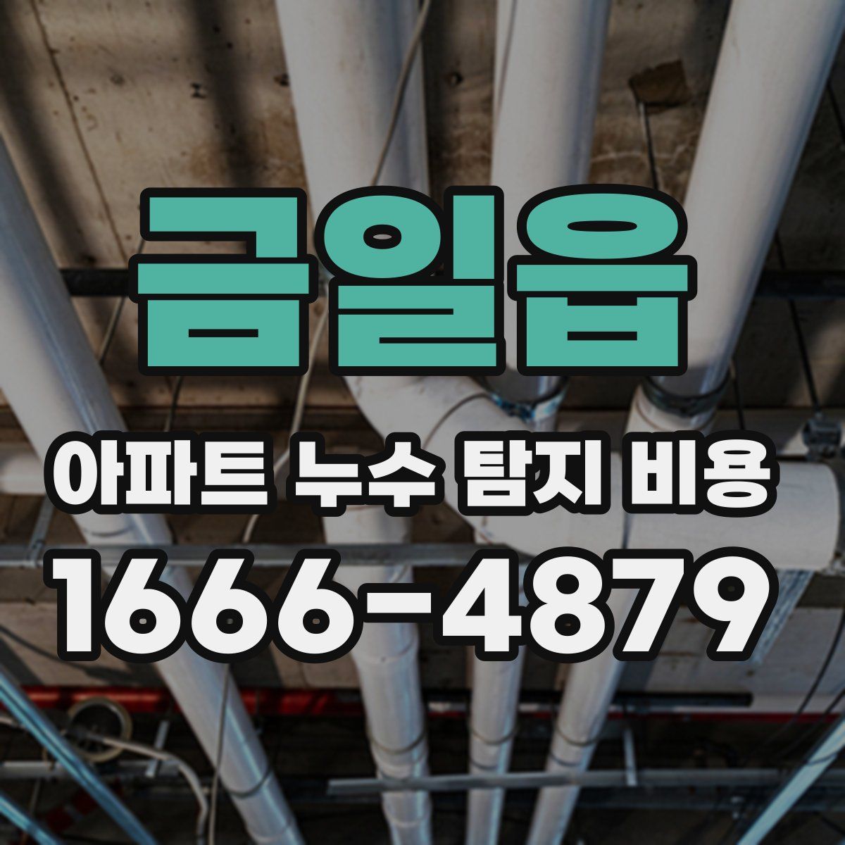 금일읍 아파트 누수 탐지 비용