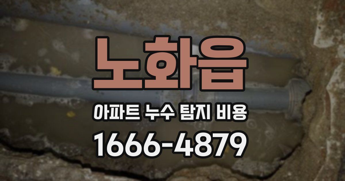 노화읍 아파트 누수 탐지 비용