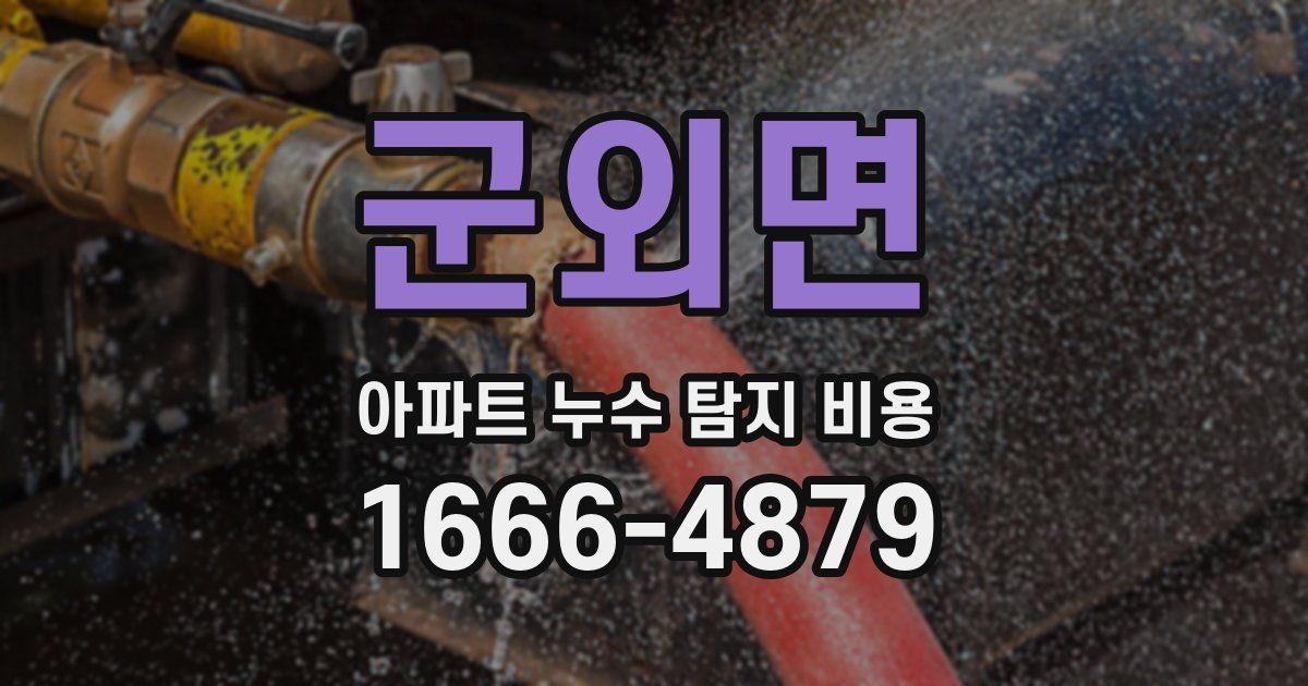 군외면 아파트 누수 탐지 비용
