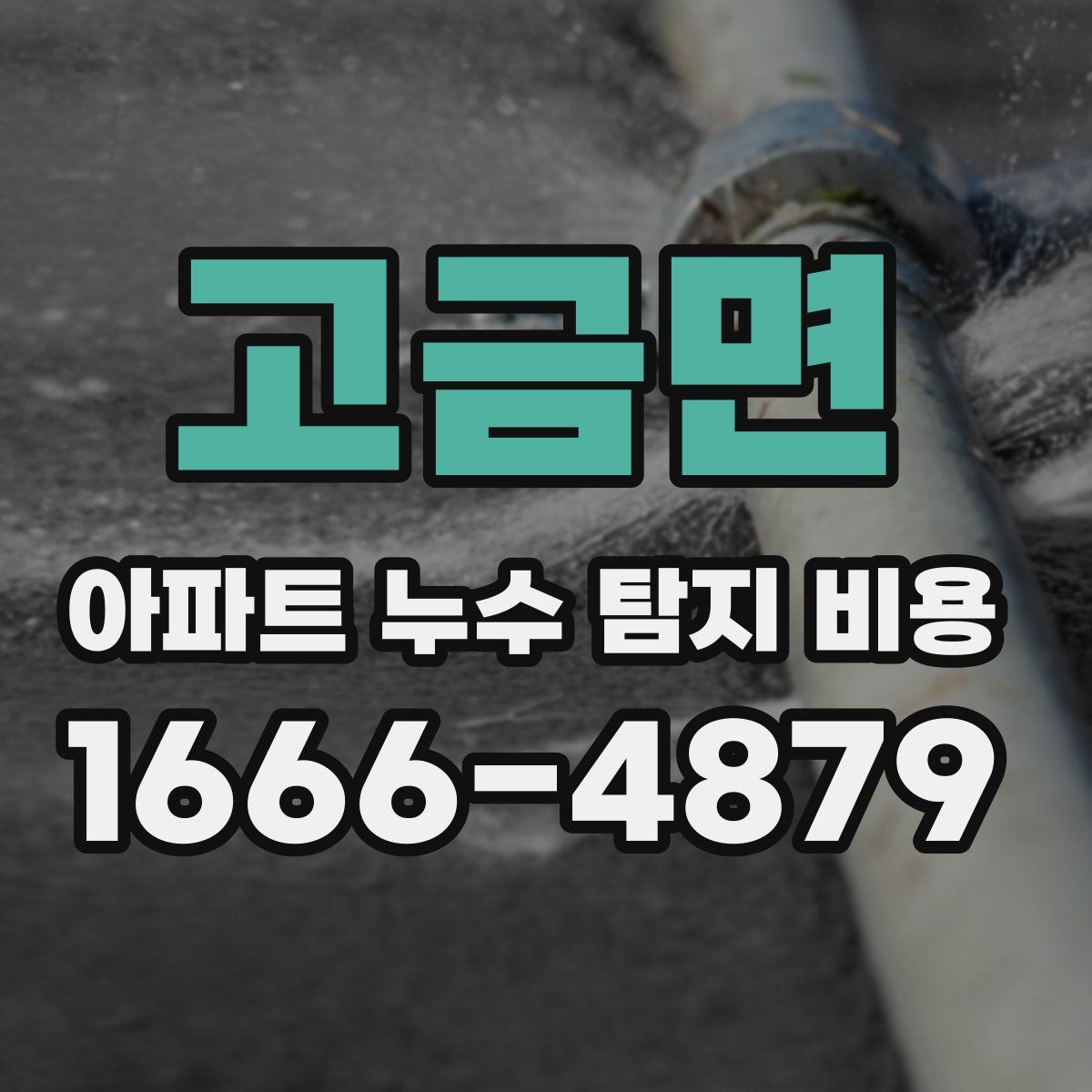 고금면 아파트 누수 탐지 비용