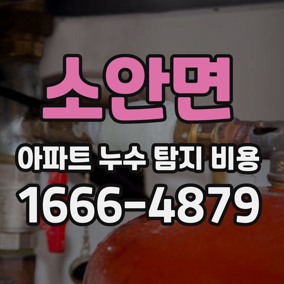 소안면 아파트 누수 탐지 비용