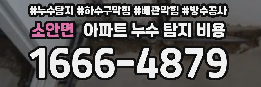 소안면 아파트 누수 탐지 비용