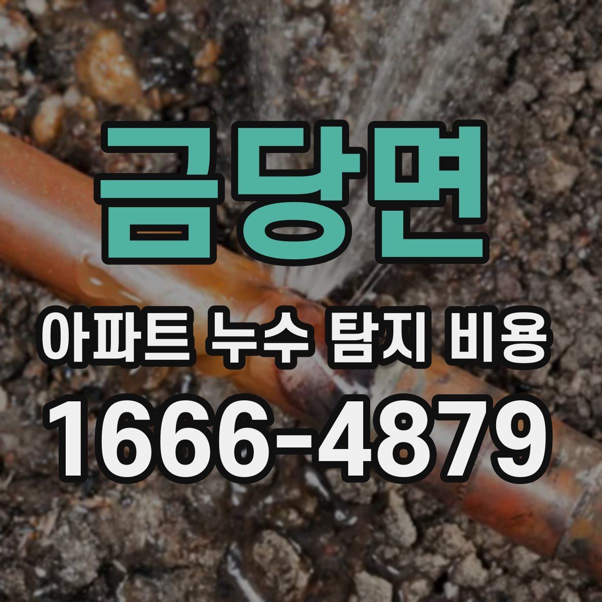 금당면 아파트 누수 탐지 비용