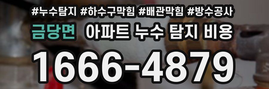 금당면 아파트 누수 탐지 비용