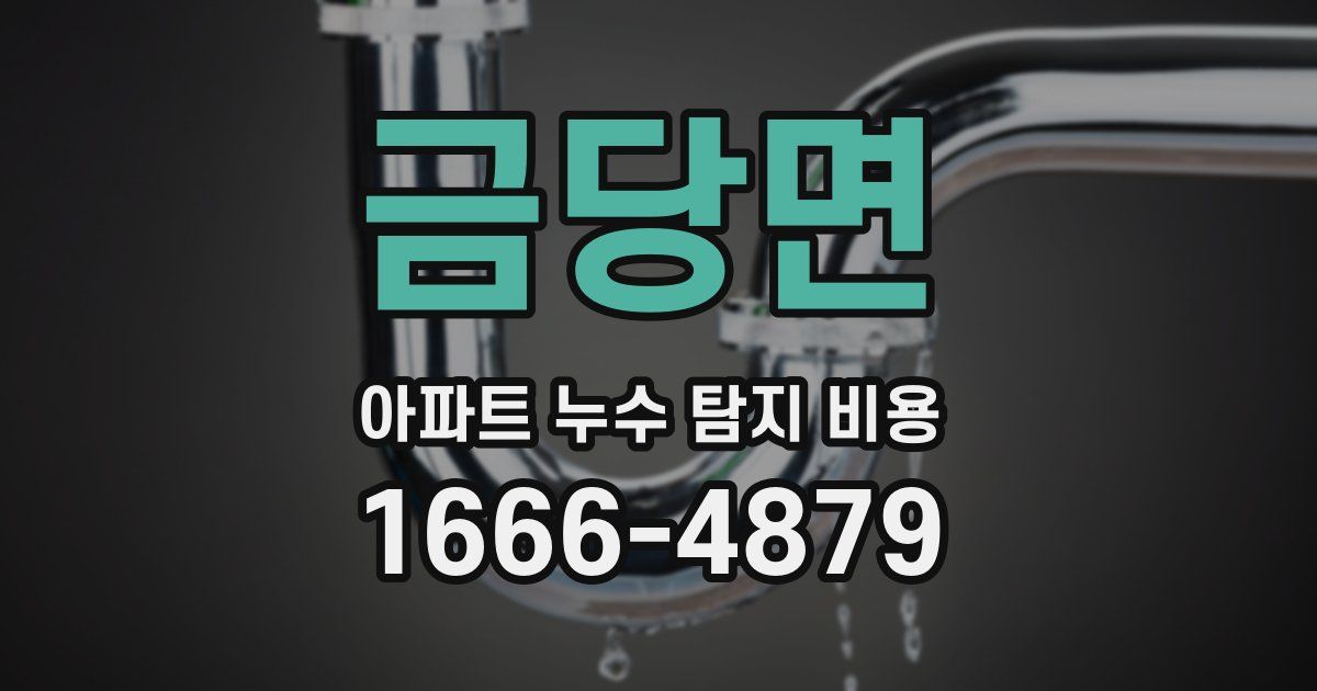 금당면 아파트 누수 탐지 비용