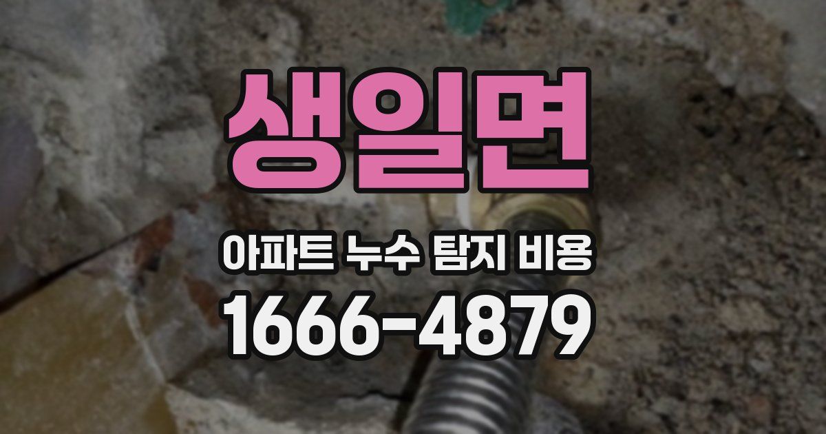 생일면 아파트 누수 탐지 비용