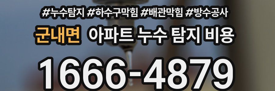 군내면 아파트 누수 탐지 비용
