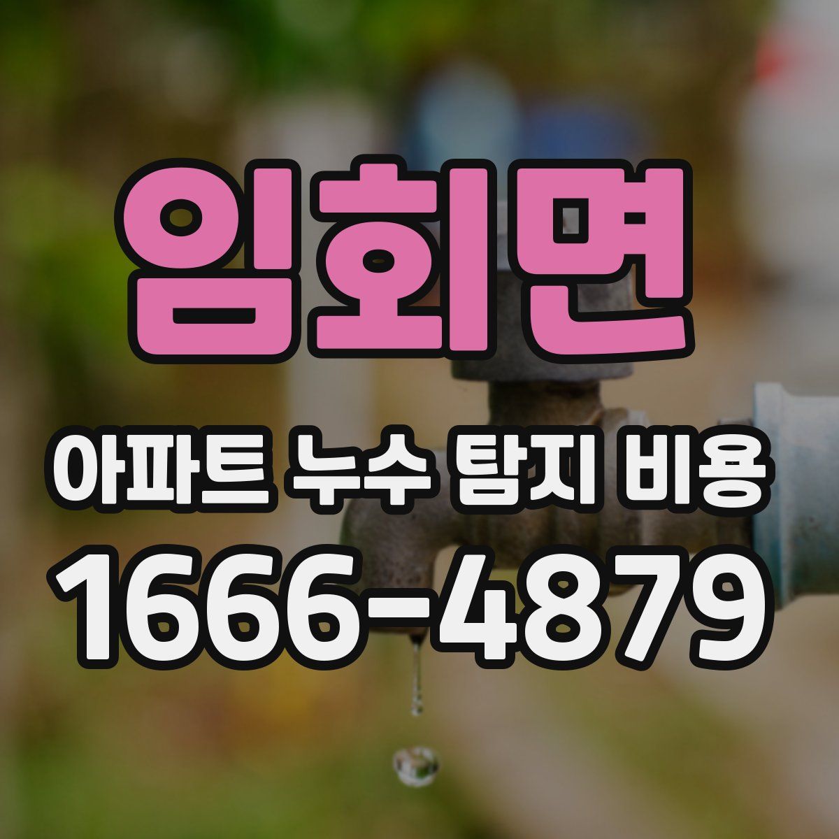 임회면 아파트 누수 탐지 비용