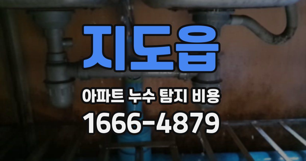지도읍 아파트 누수 탐지 비용