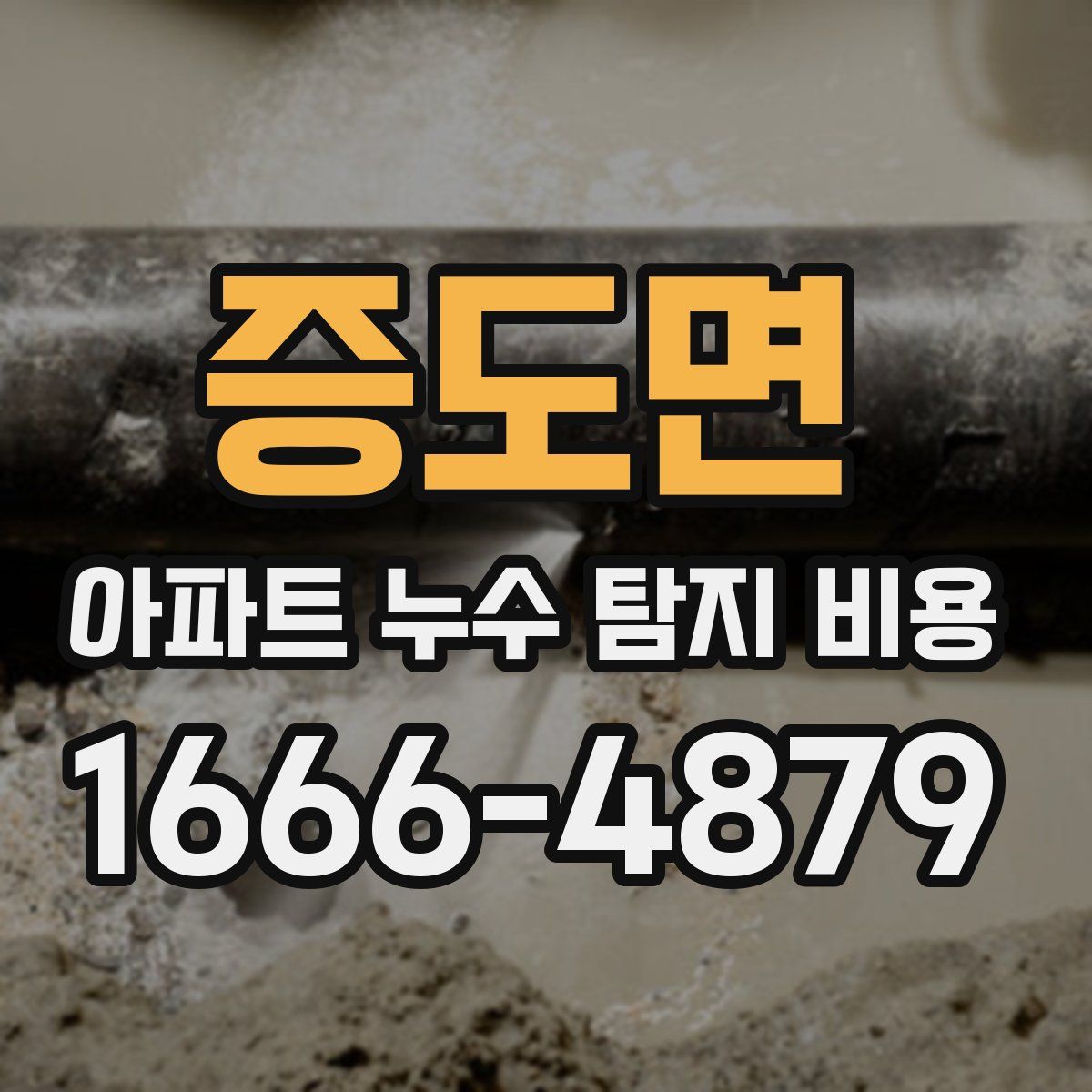 증도면 아파트 누수 탐지 비용