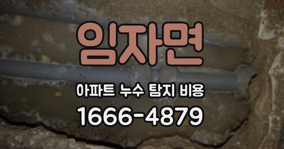 임자면 아파트 누수 탐지 비용