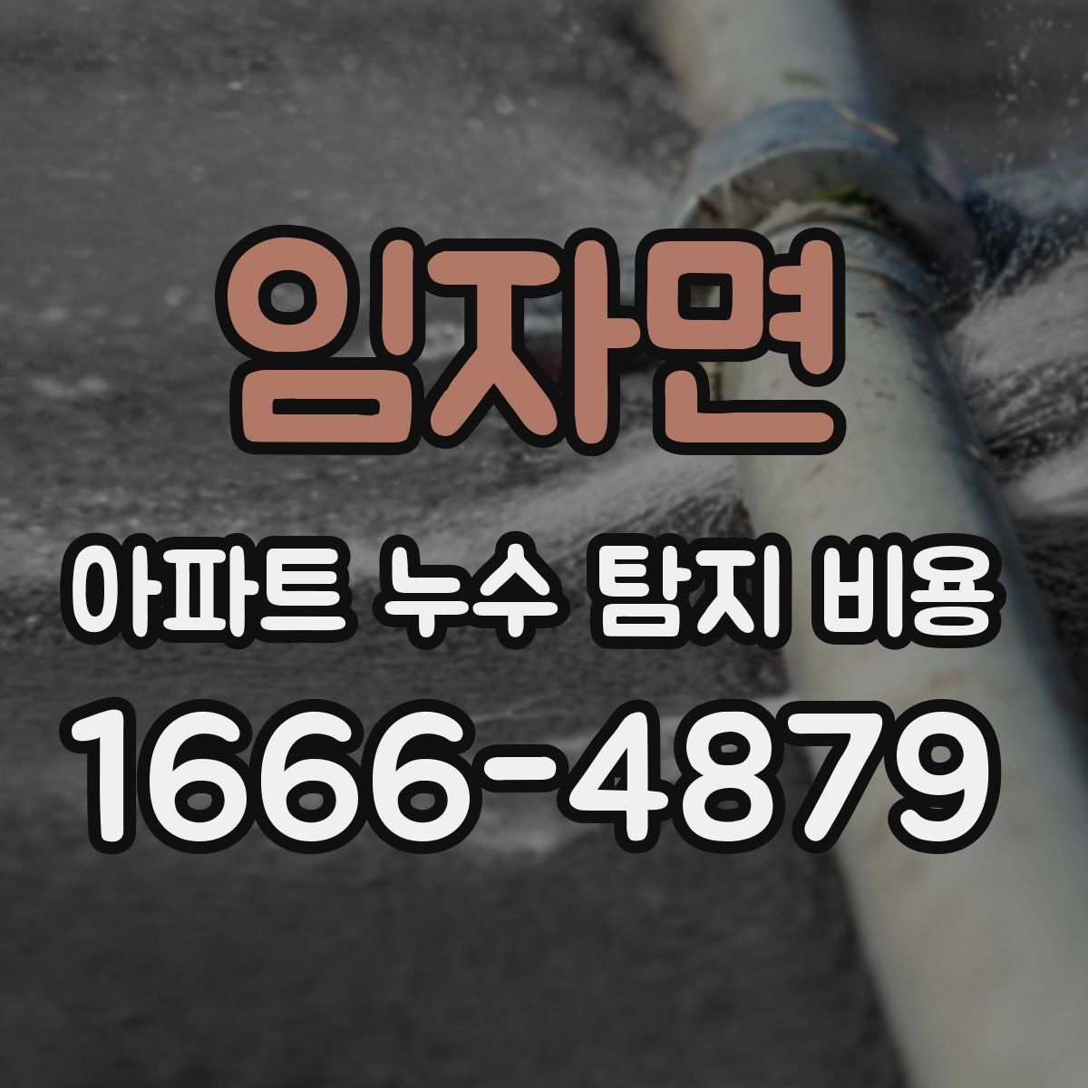 임자면 아파트 누수 탐지 비용