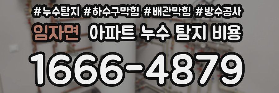 임자면 아파트 누수 탐지 비용