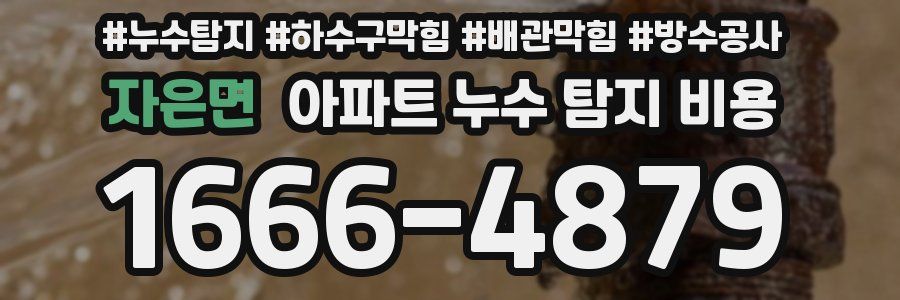 자은면 아파트 누수 탐지 비용