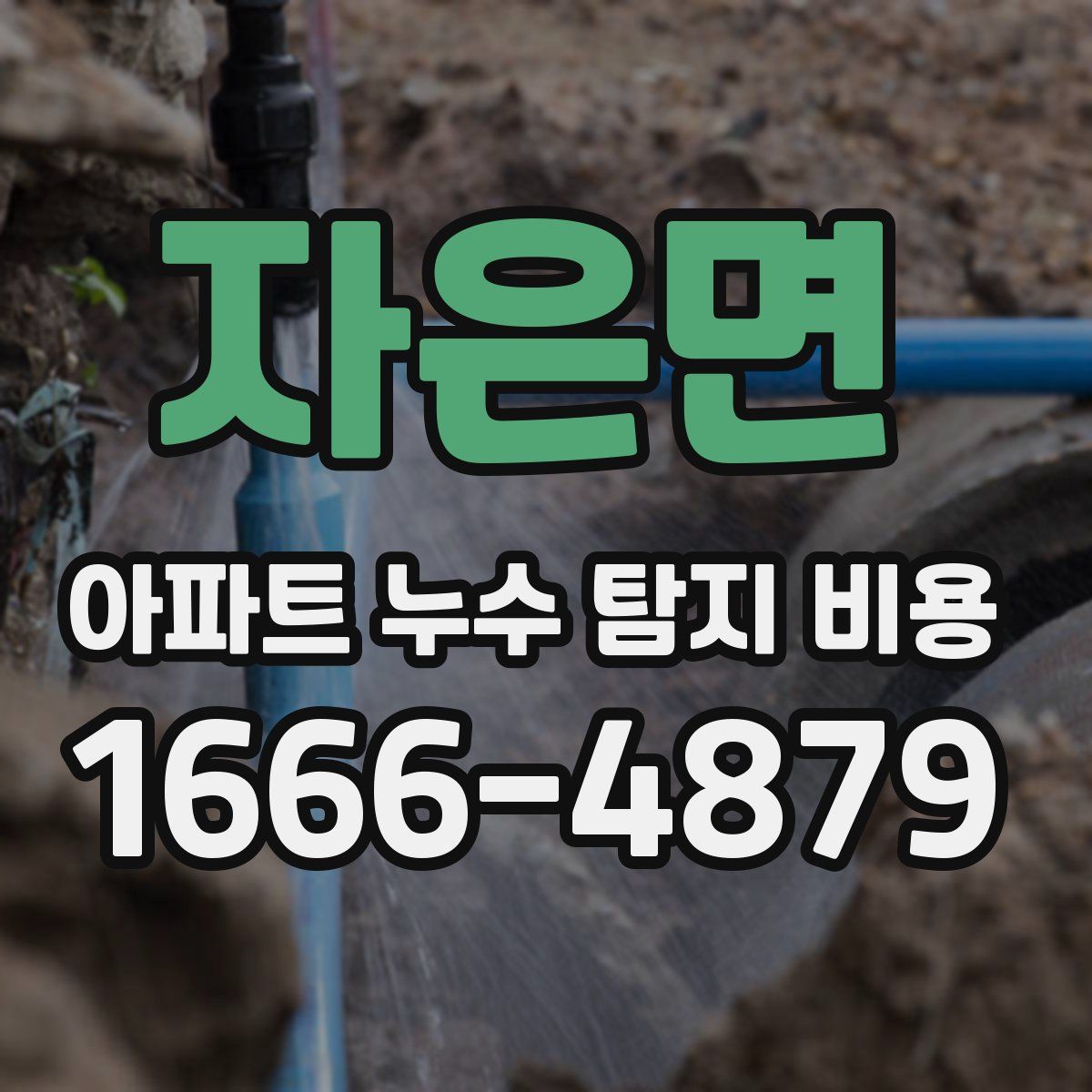 자은면 아파트 누수 탐지 비용