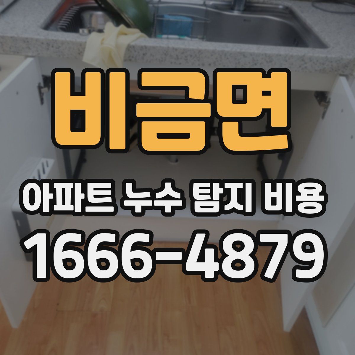 비금면 아파트 누수 탐지 비용