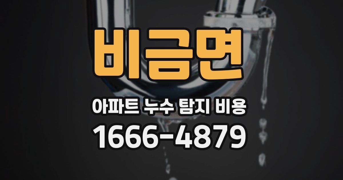 비금면 아파트 누수 탐지 비용