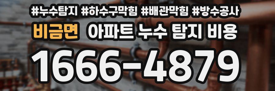 비금면 아파트 누수 탐지 비용