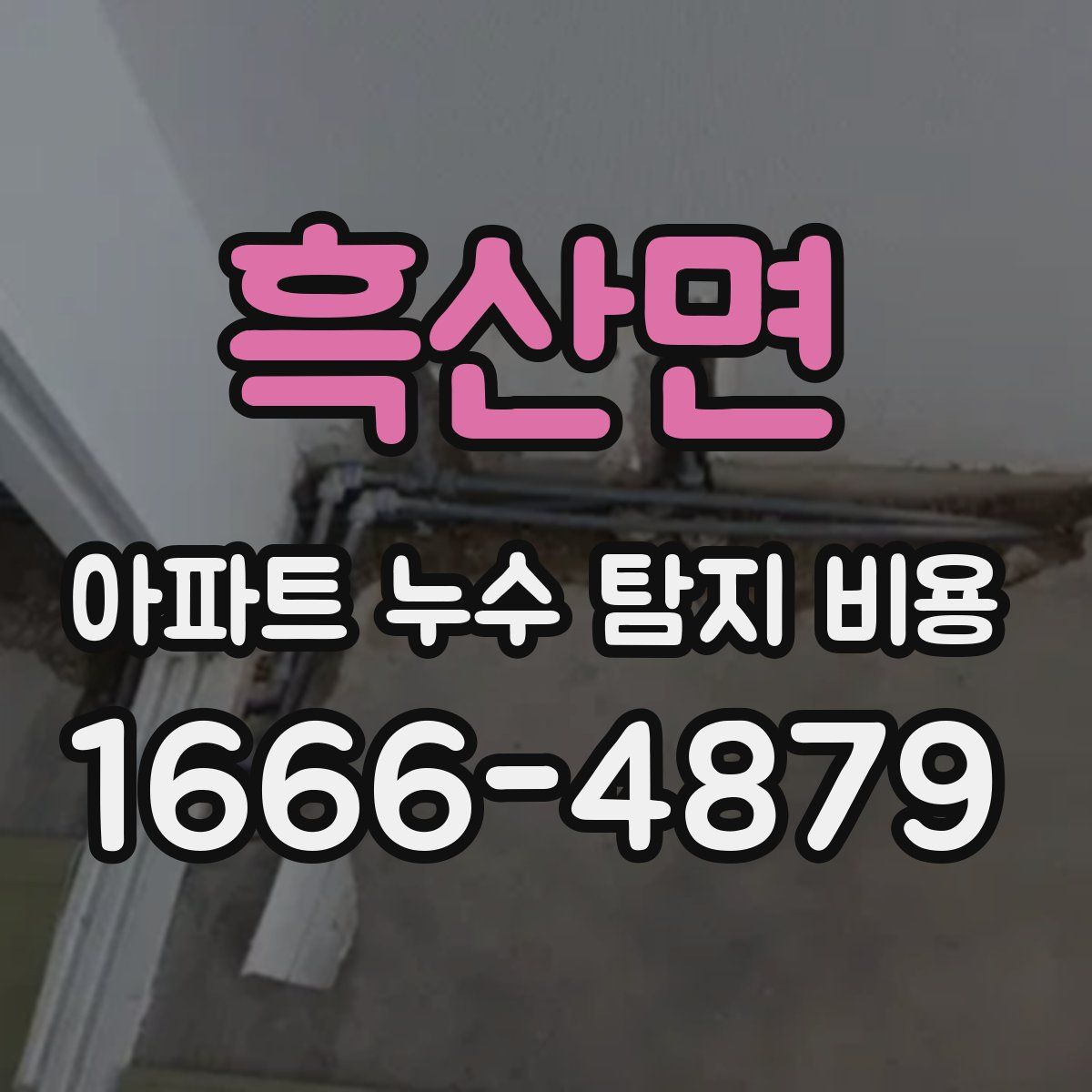 흑산면 아파트 누수 탐지 비용